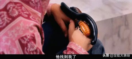 这是一部想象爆棚的超R级影片，好「色」之徒必看电影