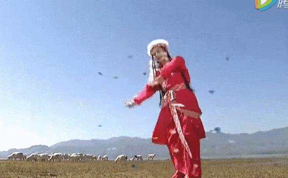 热巴古装舞蹈刘诗诗,热巴刘诗诗红毯展民族风韵