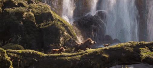 狮子王到底返不返场,狮子王口碑