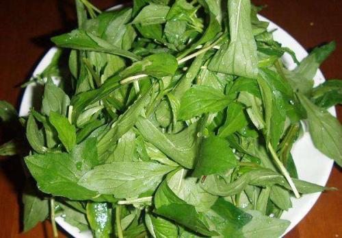 农村常见的一种野草,农村常见的一种野草竟然可以吃