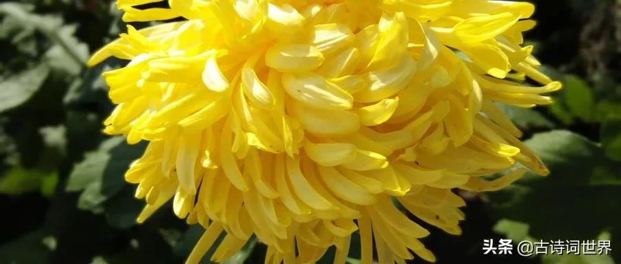 关于风花雪月的古诗词,关于春夏秋冬和风花雪月的古诗词