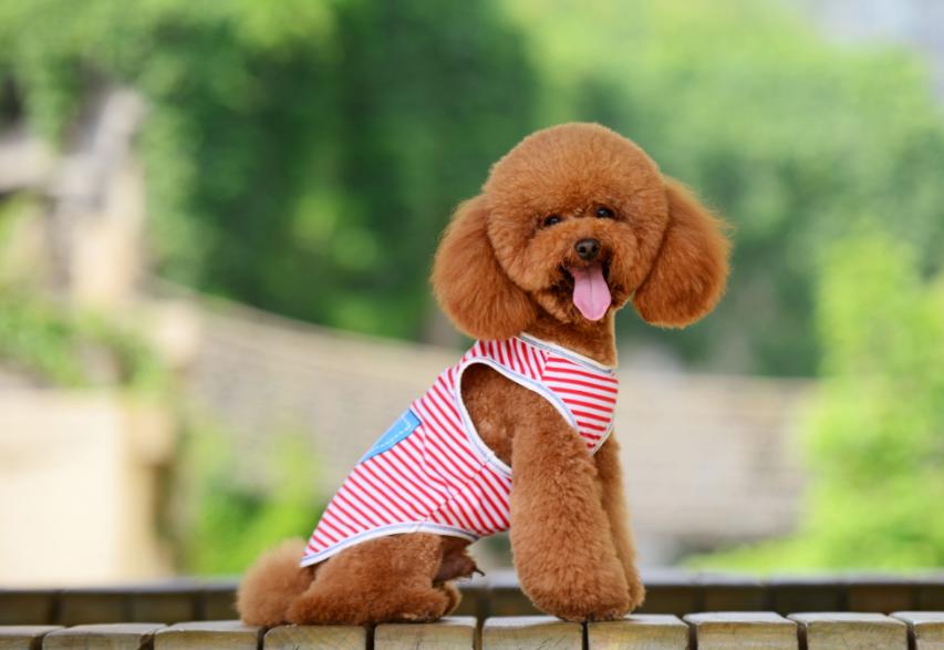 做好这五件事才能做得更好,做好这5件事让你快乐起来