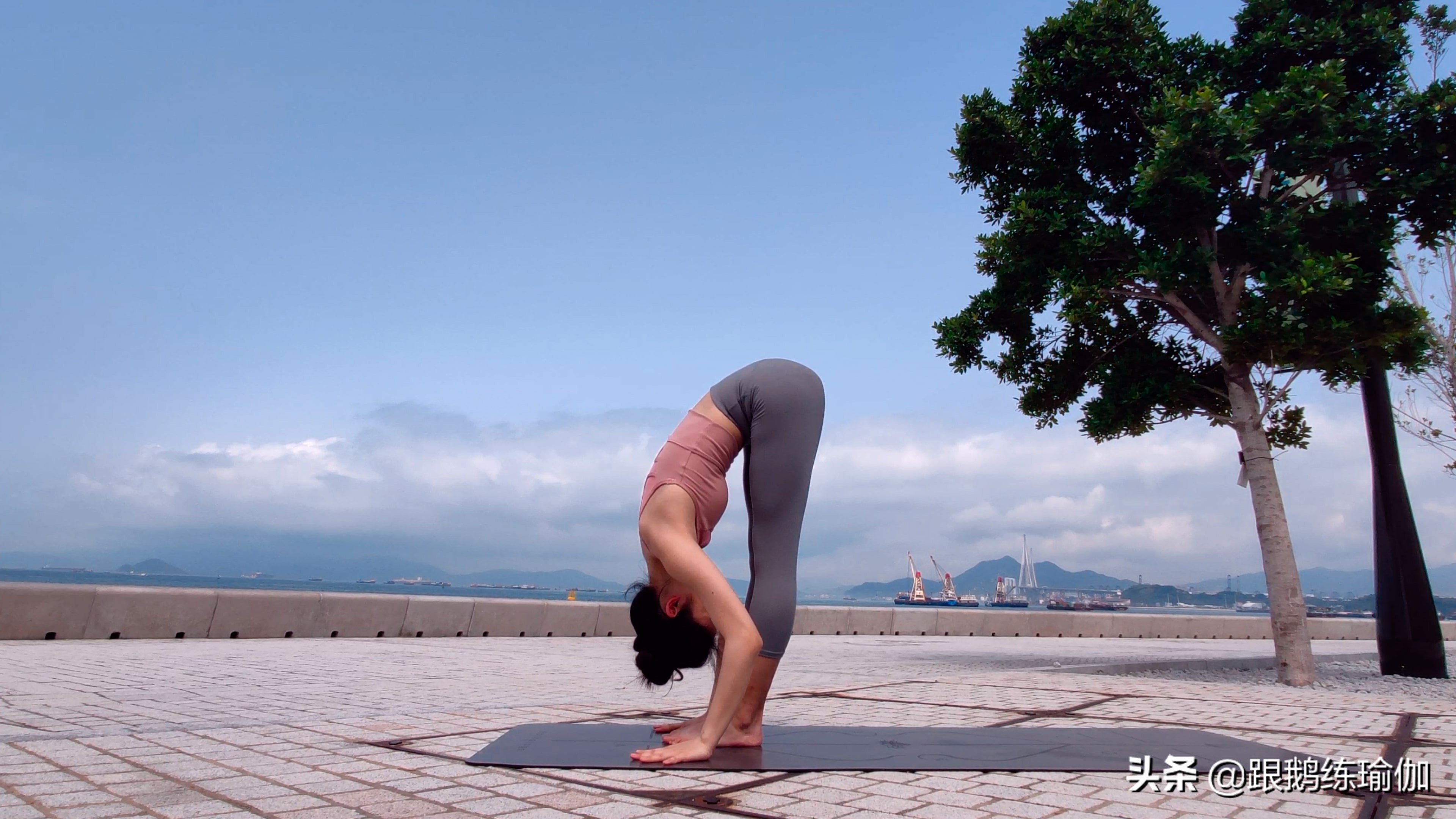 拜日a式注意要点,拜日式a完整版口令