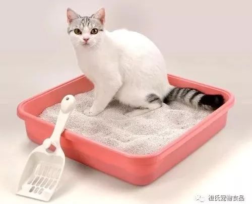 猫砂到底买哪种比较好 (选择哪款猫砂)