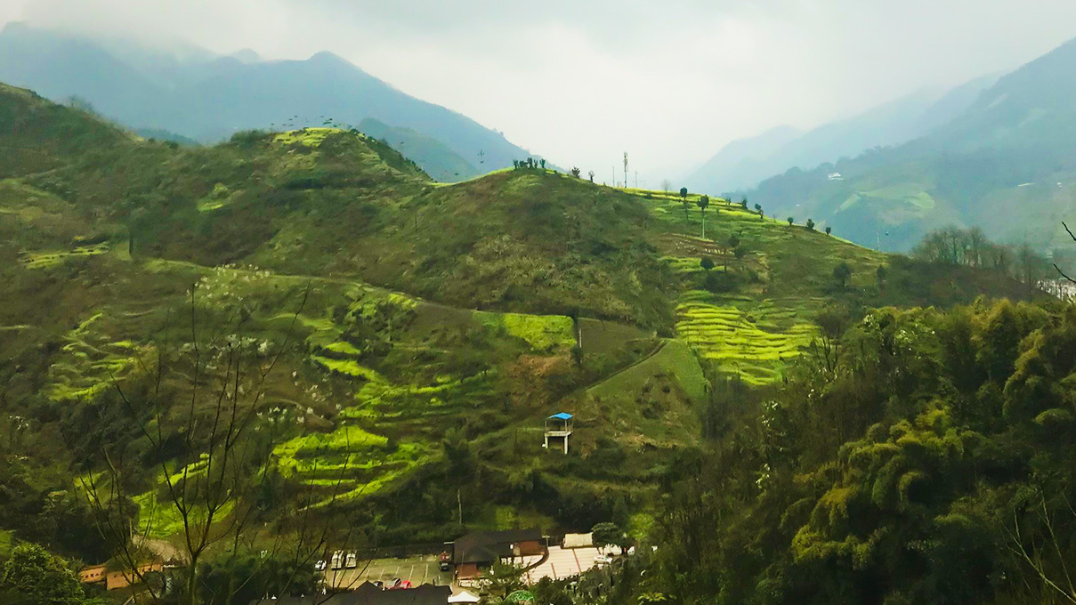 四川旅游踩坑的地方,贵州旅游踩坑