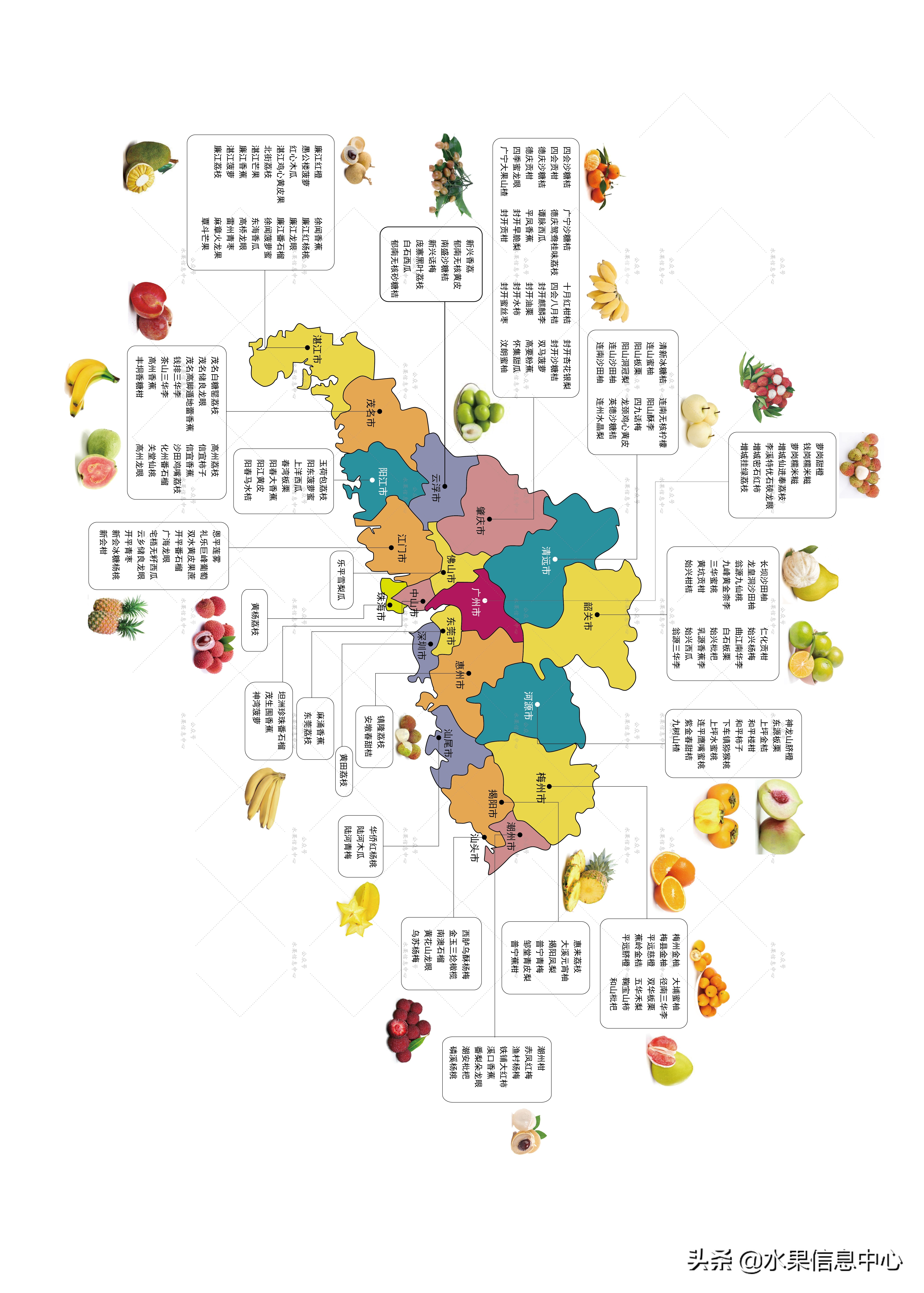 广东热带水果图片大全,世界热带水果之窗水果图片