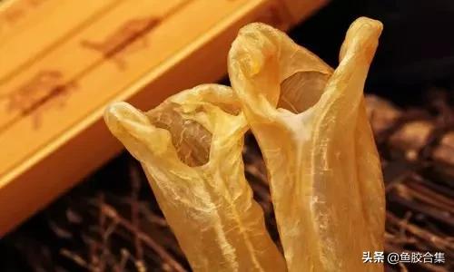 花胶一共有几种类型的品种,花胶种类中哪种最好