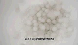 洁厕净马桶测评,康丽洁马桶深度测评