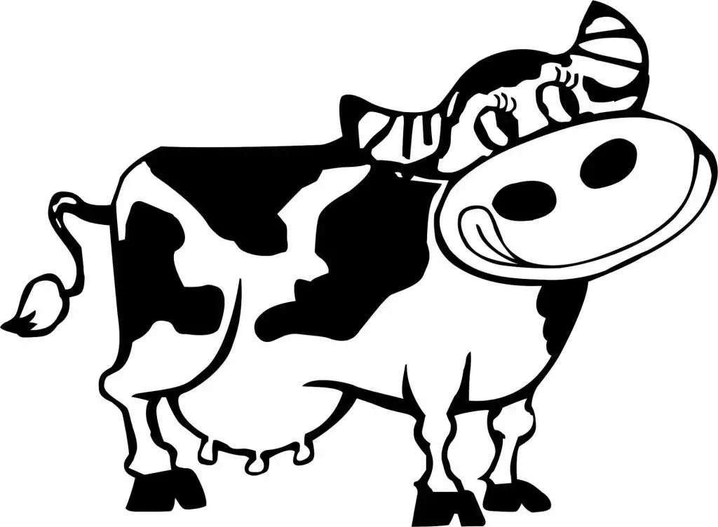 关于荷兰牛栏奶粉的那些事儿,荷兰牛栏奶粉有出什么新闻吗