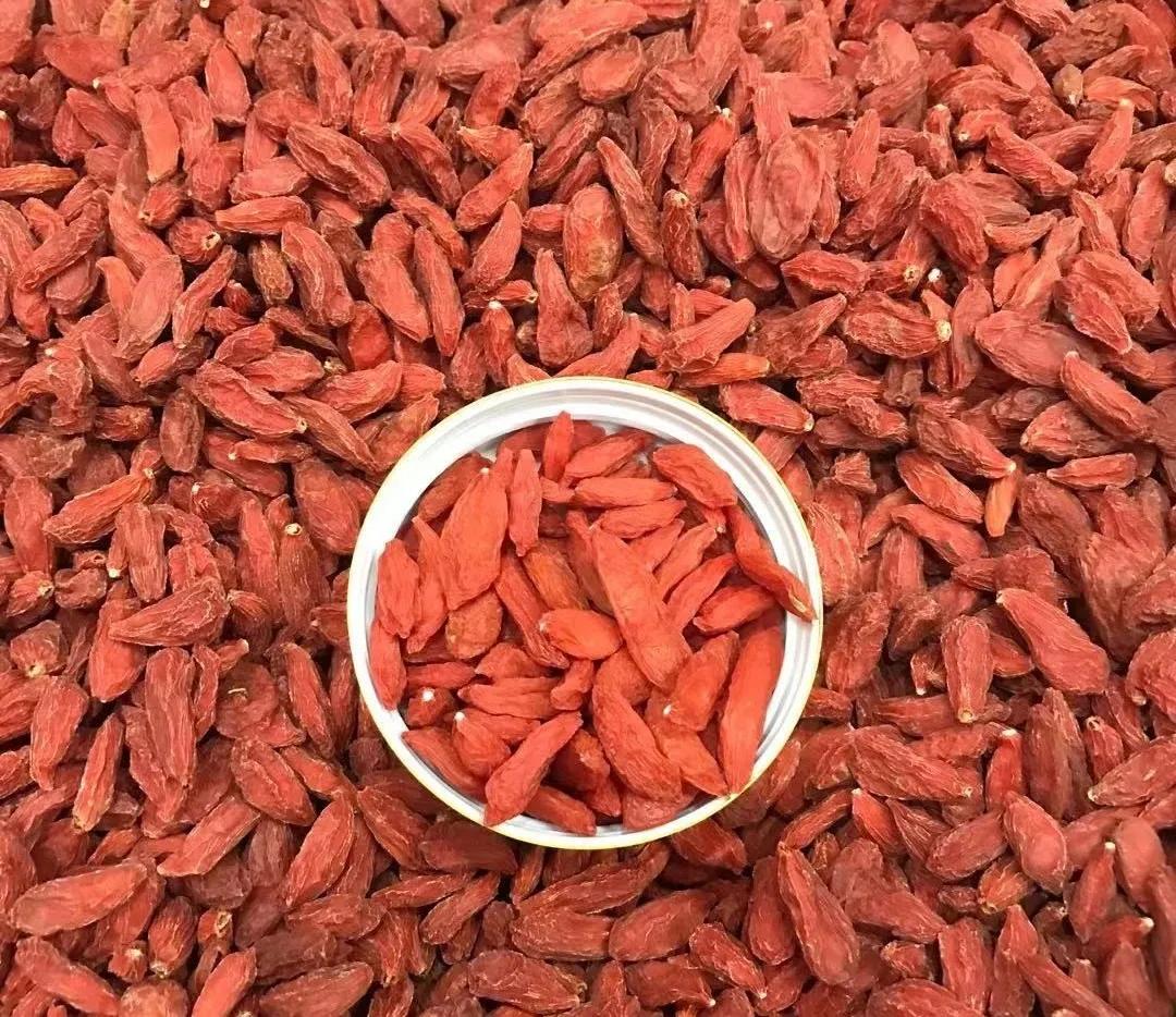 每个地方的特产在哪买,每个地方的特产产品