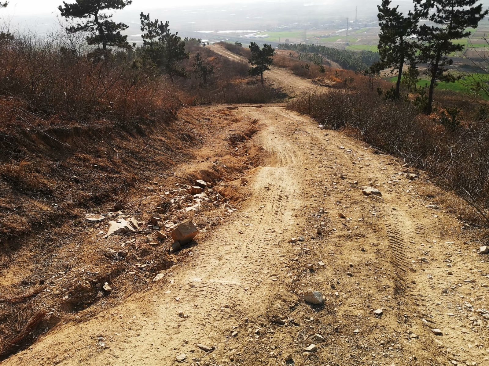 摩托周边旮旯游——探访蚌埠李楼鲁山寺遗址（上）