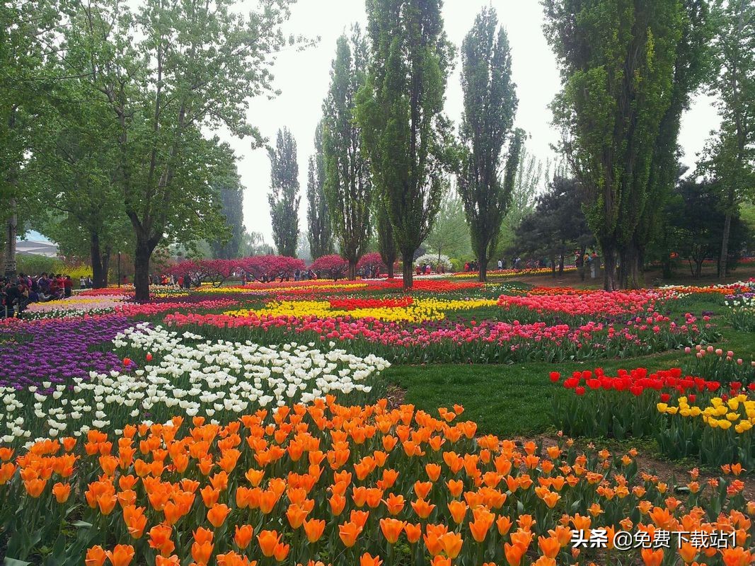 郑州三批次民办高中录取分数线,郑州民办大学录取分数线