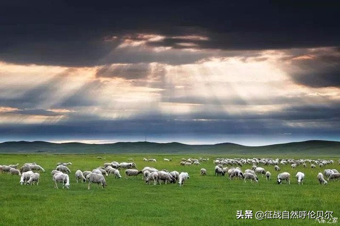 我来到你的城市走过你熟悉的街,我来到你的城市走过你走的路