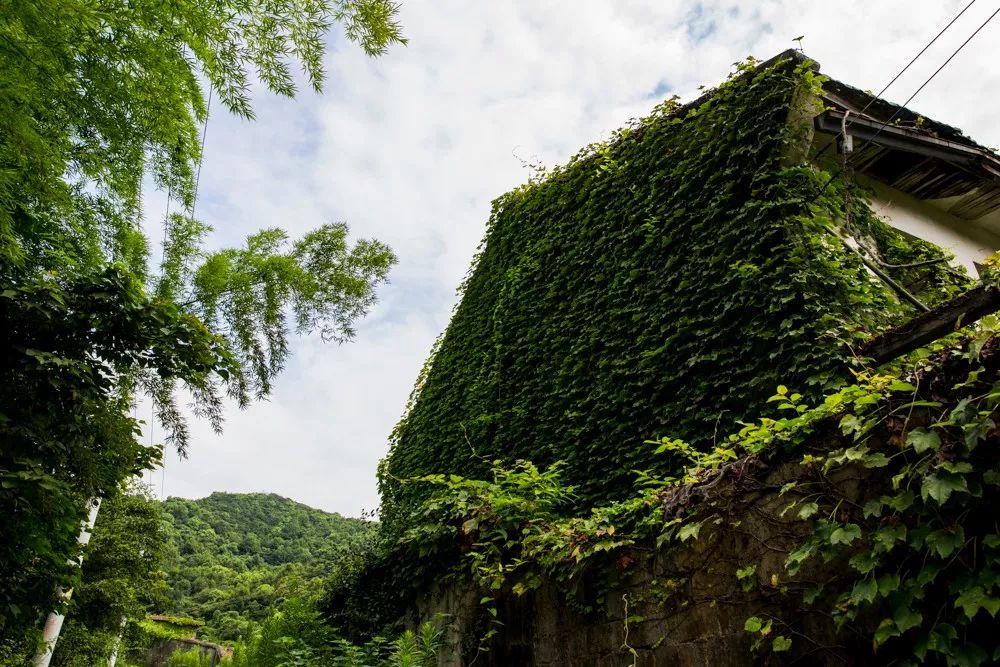 爬完所有雪山就释怀,爬完所有的名山