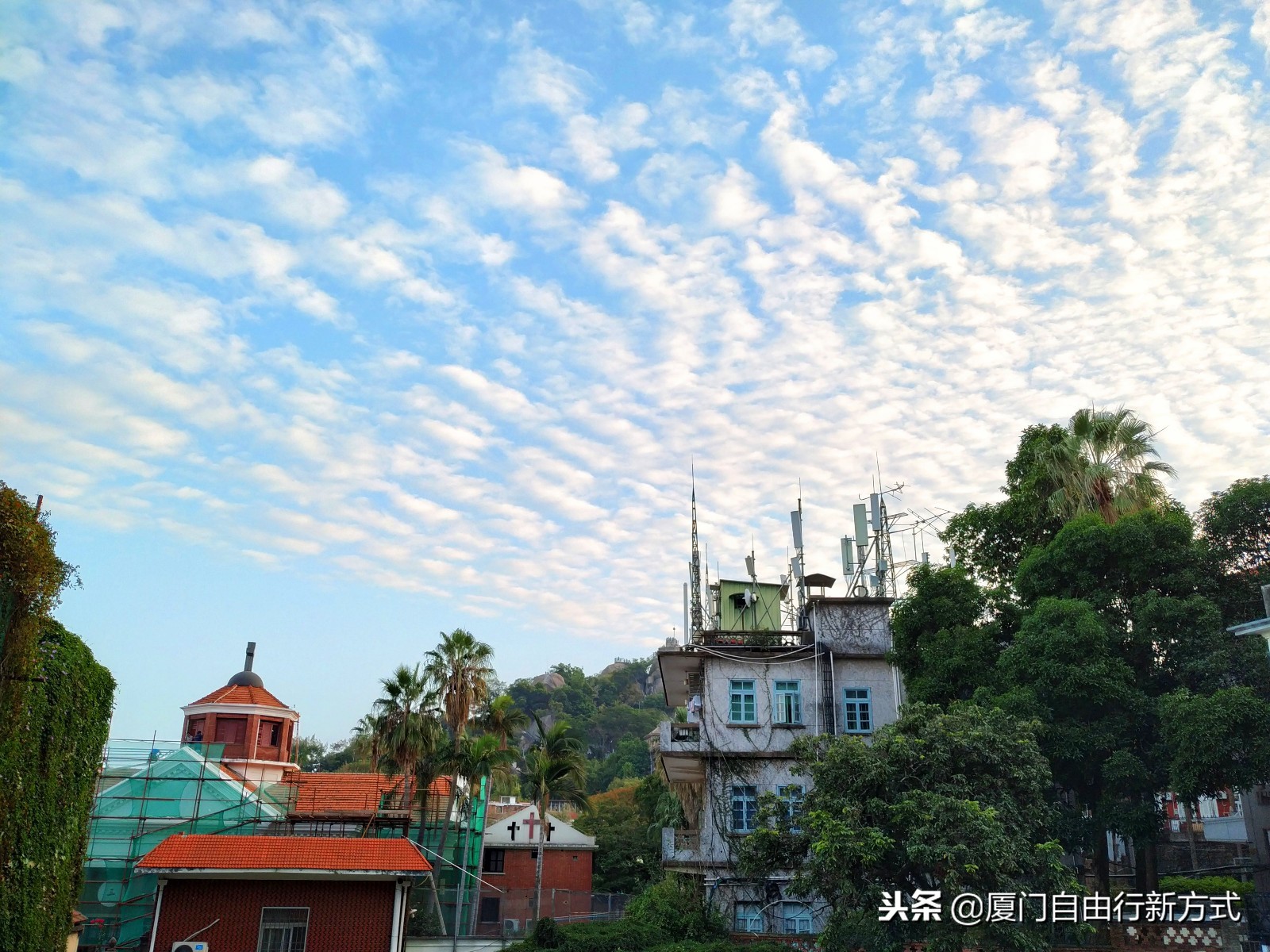 厦门旅游遭遇的旅游骗局,厦门旅游要知道的5件事