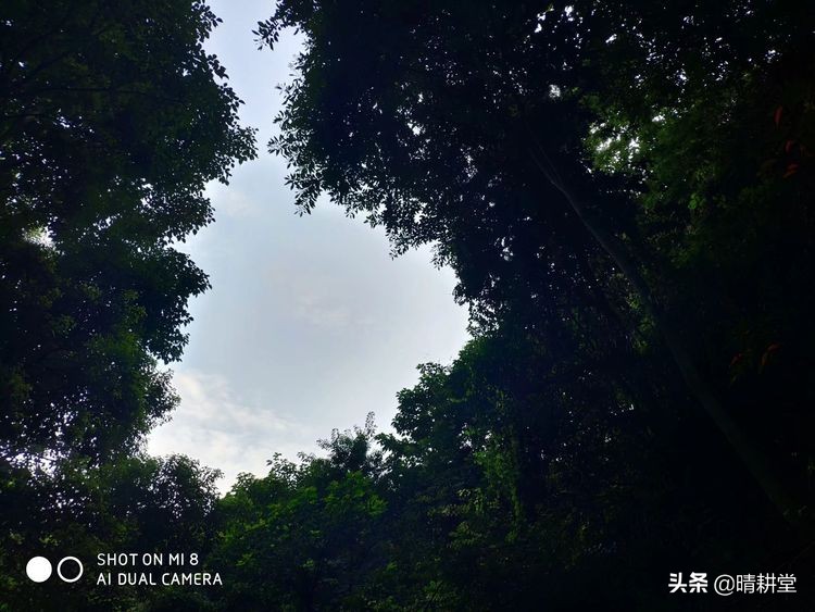 赣州峰山附近一日游自驾游景点,赣州峰山美景