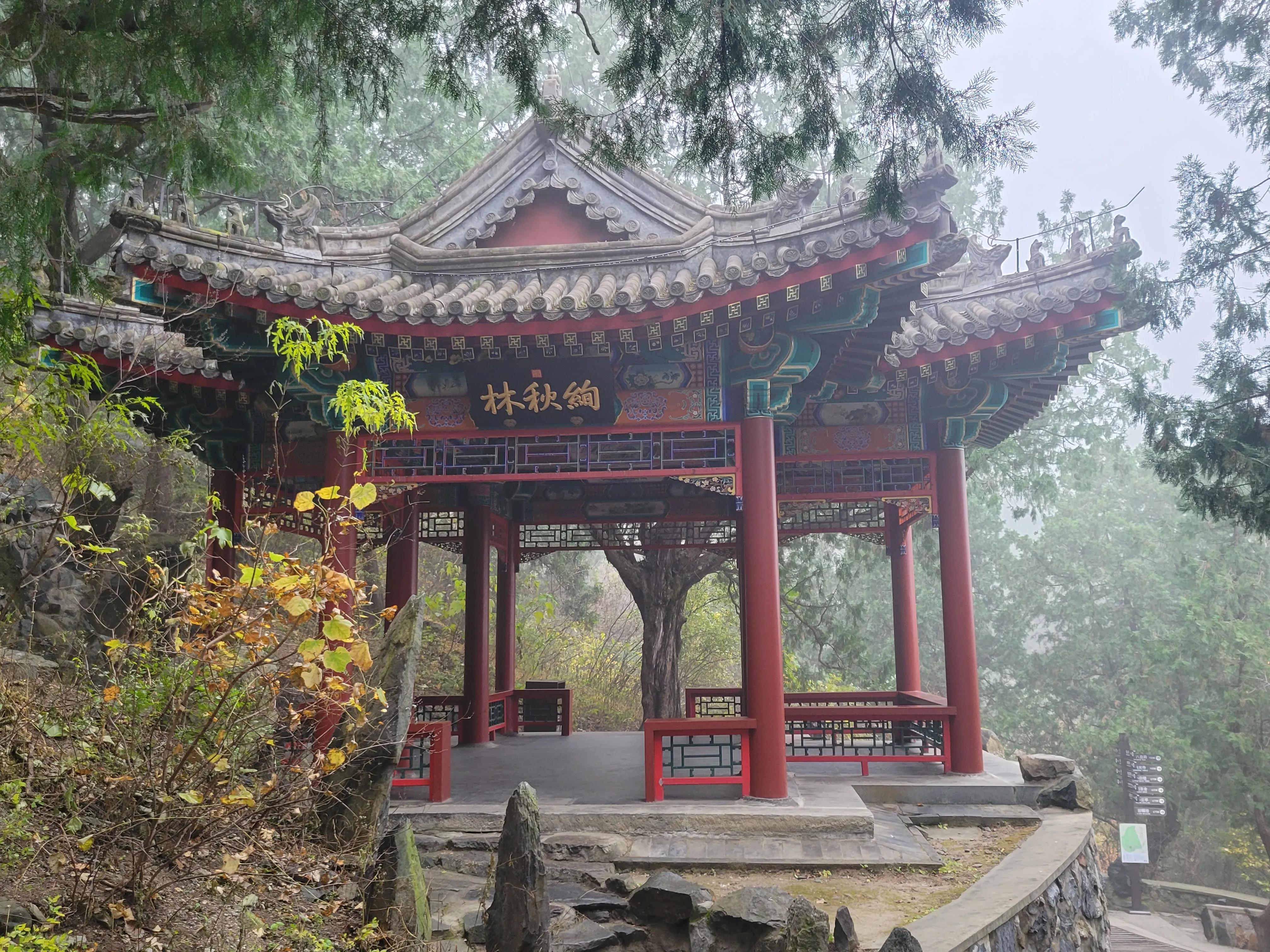 棣欏北涓轰粈涔堣繖涔堥,棣欏北浣犳潵浜嗗悧