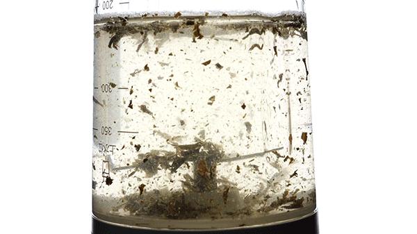 怎么用榨汁机榨果汁,如何用榨汁机榨出一杯好吃的果汁