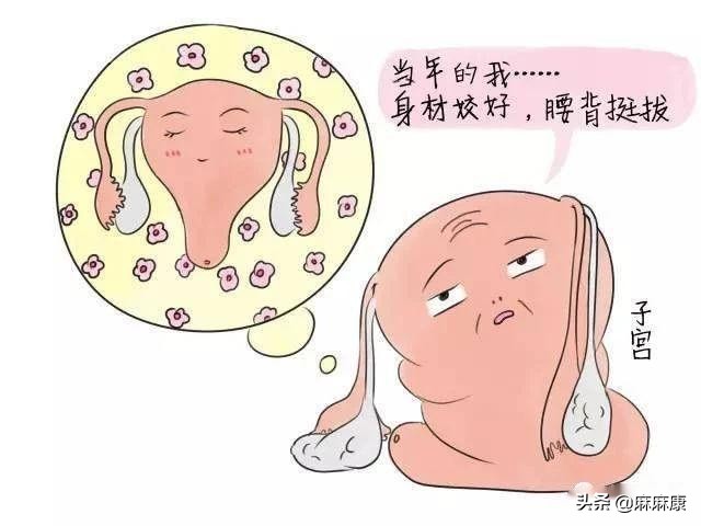 盆底肌康复不得不做的6大理由，帮助产后妈妈重拾昔日自信