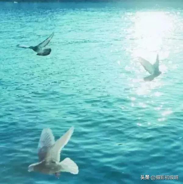 推荐几个日系摄影师,推荐个日系摄影师名字