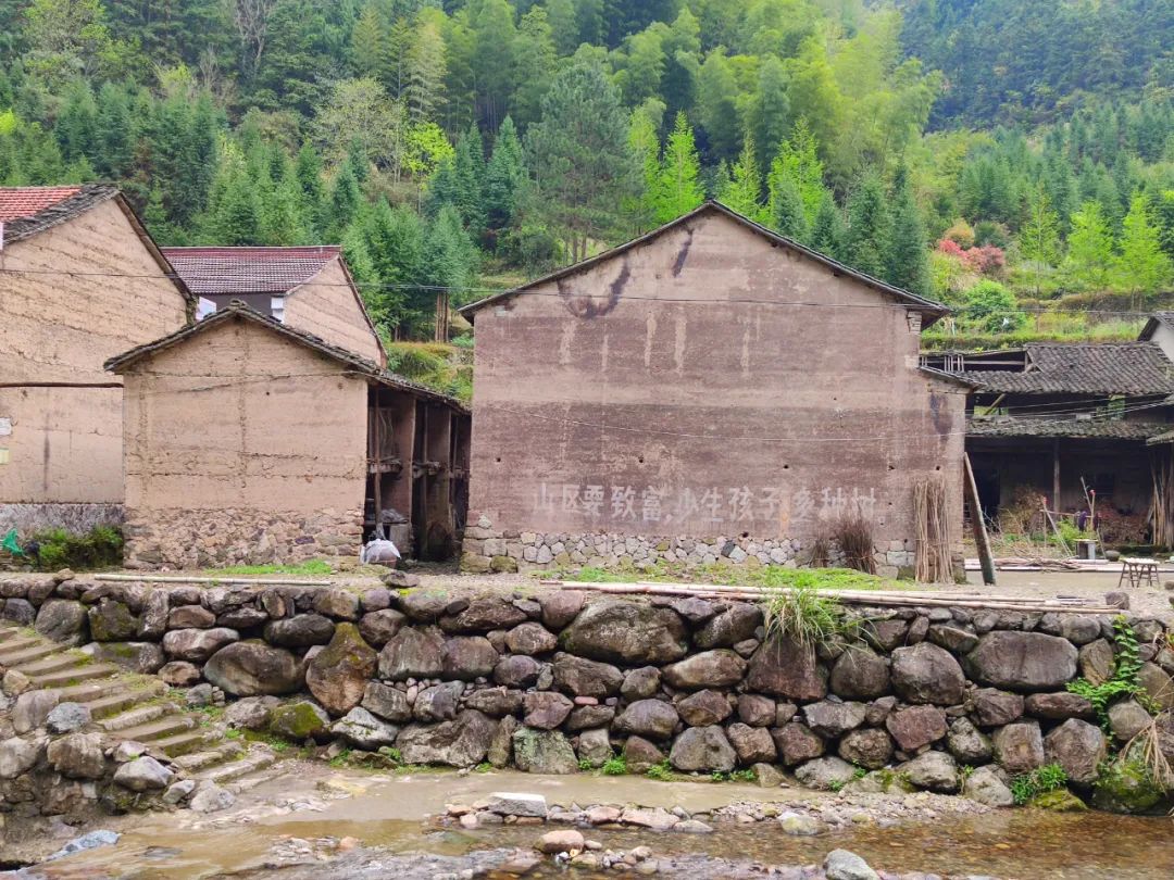 探访悬崖峭壁,大峡谷绝壁长廊