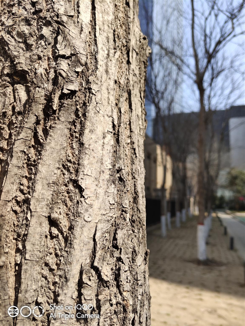 vivoiqoo骁龙855的手机有什么,骁龙855以上的iqoo手机有哪些