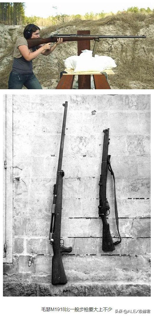 最大口径大象步枪,步枪大象