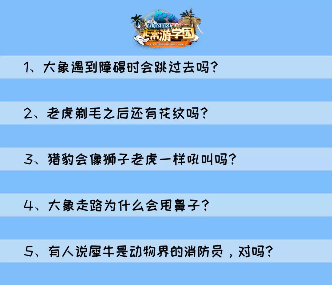 大熊猫相关知识,大熊猫百科知识详细介绍