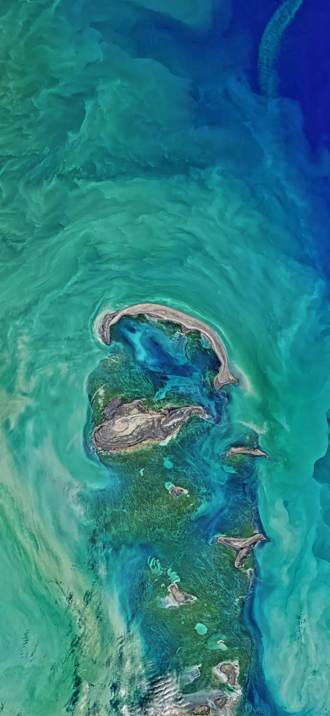 老虎壁纸超清4k手机壁纸iphone,iphone壁纸4k佛像壁纸