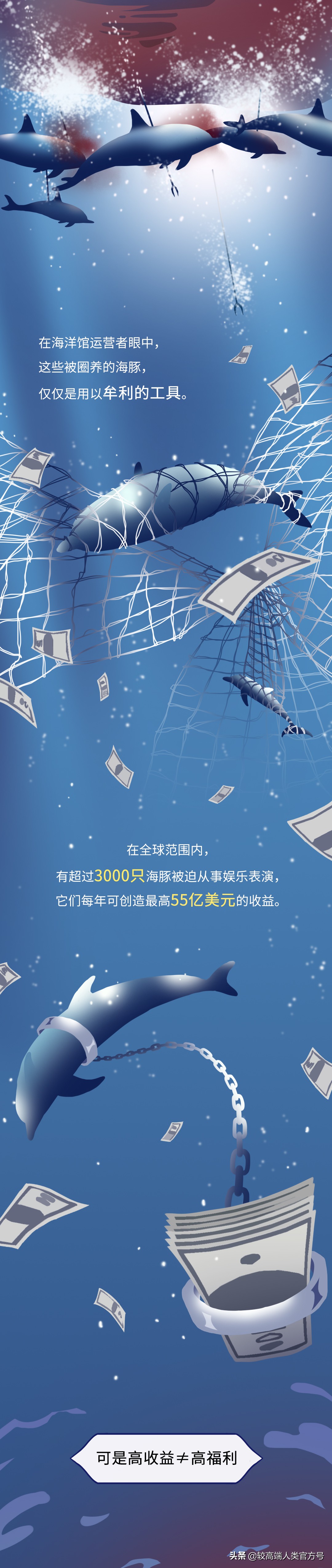 囚禁海豚,海豚表演有多残忍