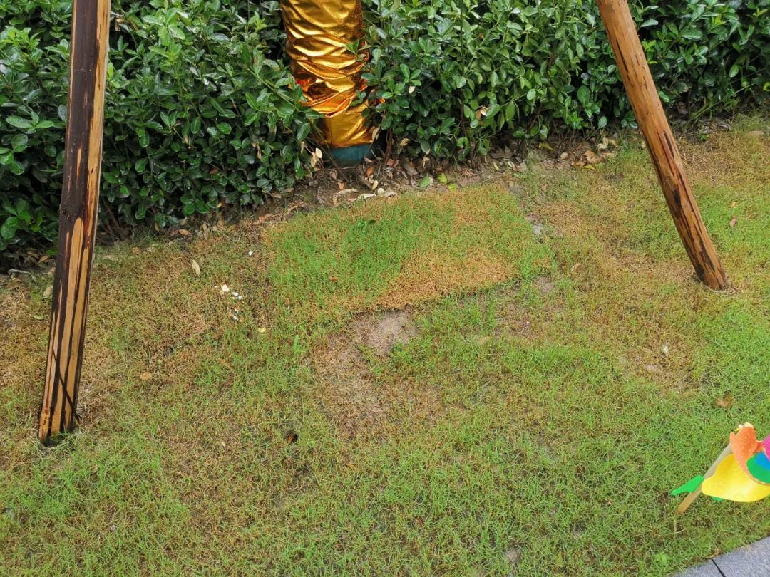 南京五桥楼盘,南京五桥板块好房源有哪些