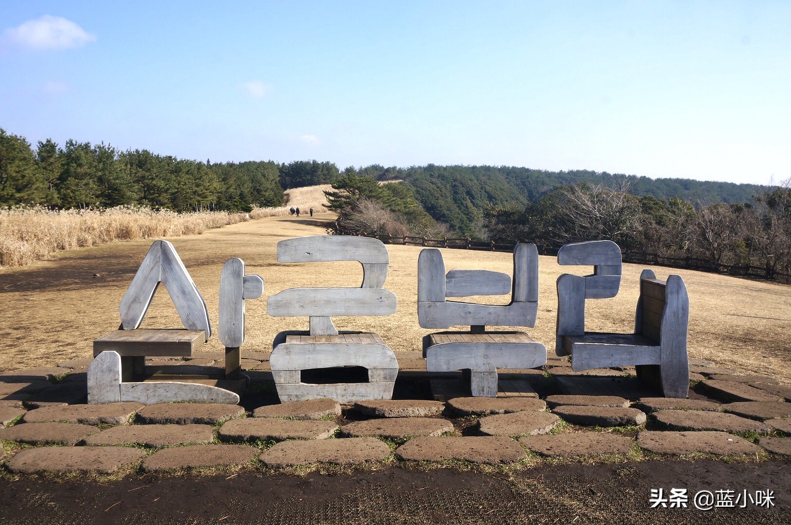 济州岛山君不离完整版,原始济州岛游玩攻略