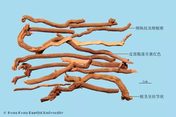 茜草是什么颜色,最是人间好颜色出处