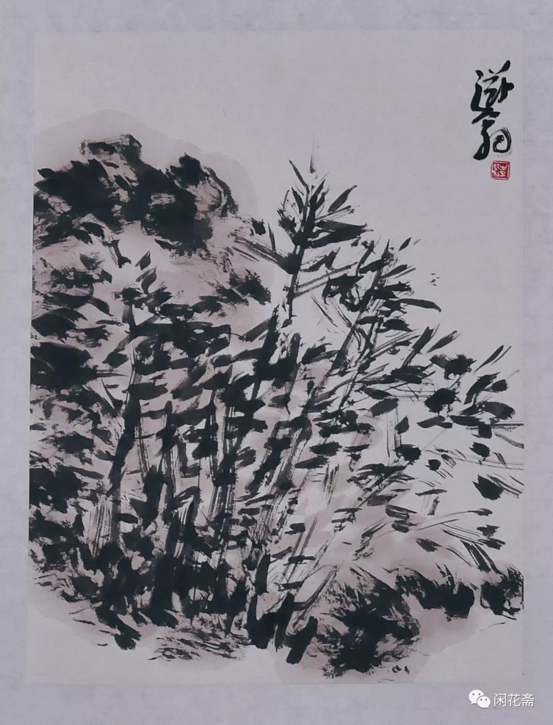 一分钟看福州,一分钟看遍一年四季