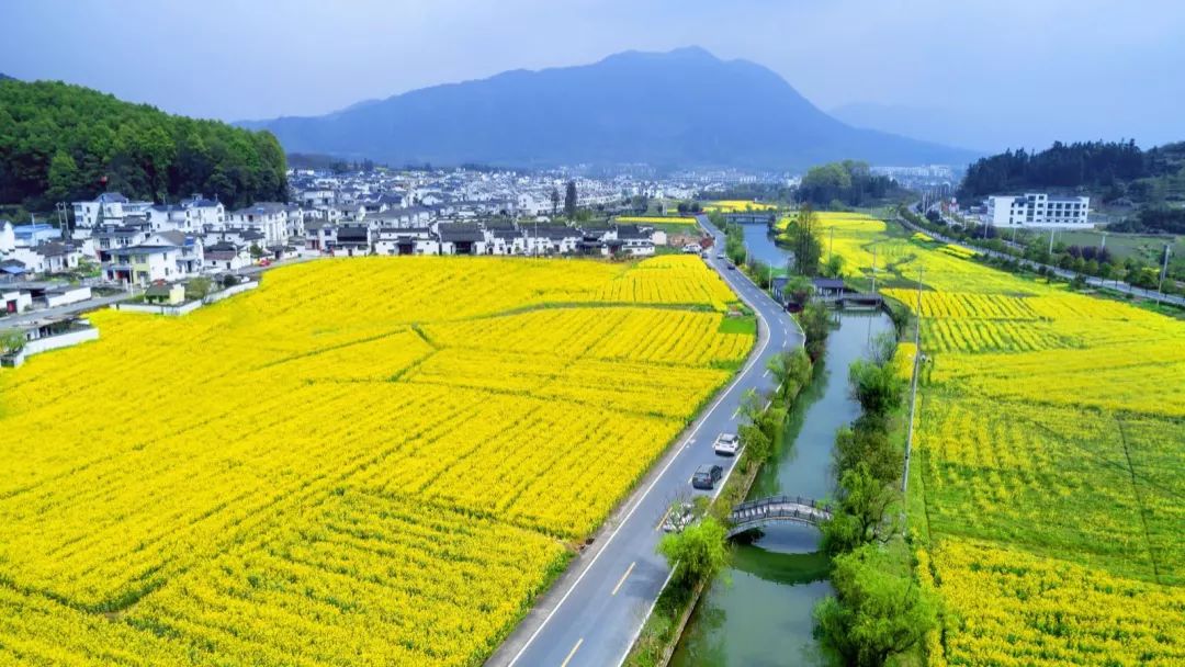 在最美春天，体验Jeep最新指南者