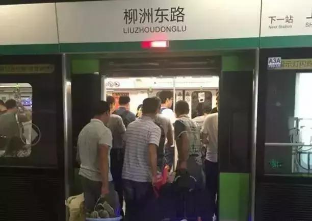 董卿你的站姿就是你的修养,董卿到底有多懂得礼貌