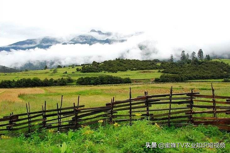 土壤不透水是碱性重还是酸性重,土壤怎样分辨酸性还是碱性肥料