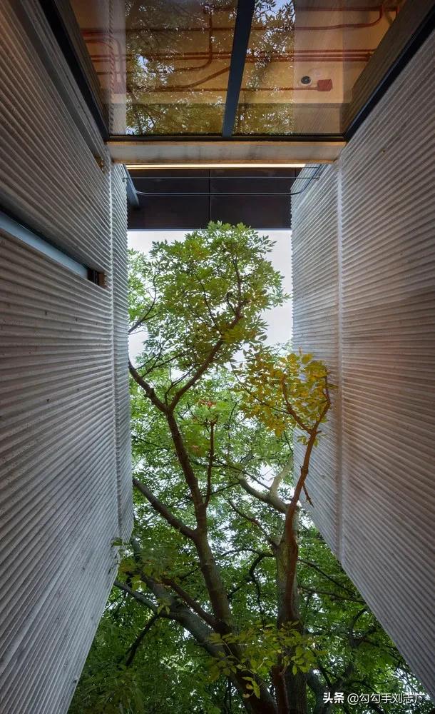 自建公寓一室一卫一厨30平,160平自建公寓