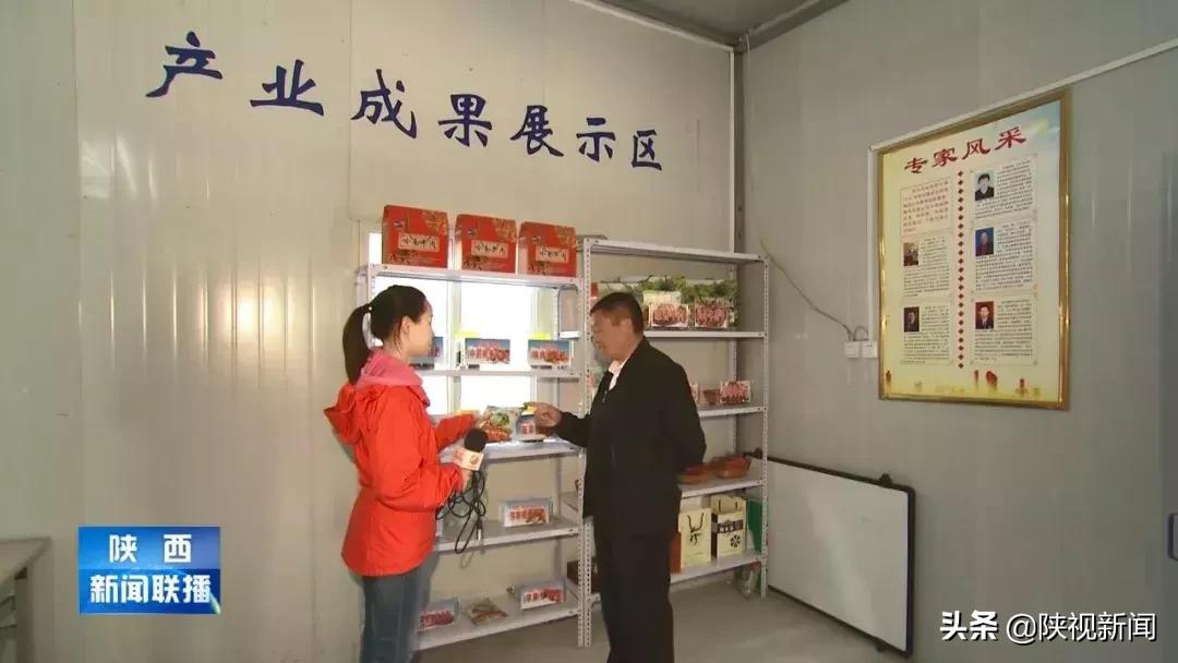 商洛山阳县这帮人对牛粪做了啥?竟比纯养牛多挣了10倍!