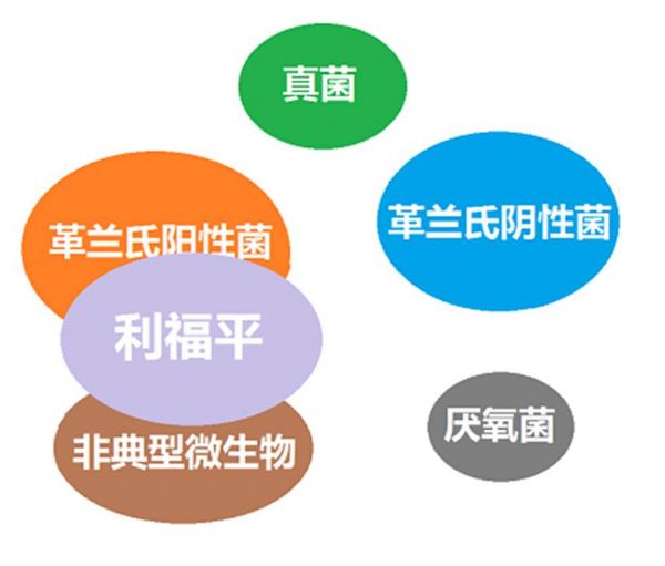 看图“话”抗菌谱，赶紧收藏