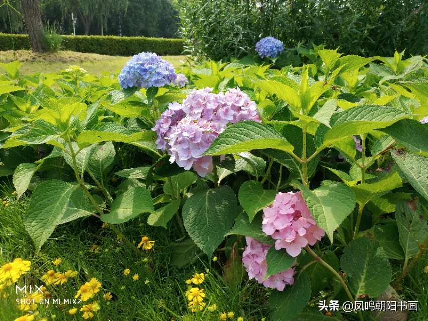 北戴河鸽子窝公园旅游攻略,北戴河鸽子窝一日游