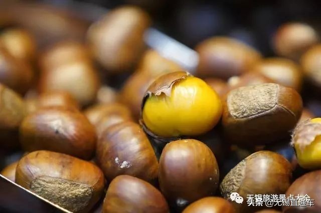 无锡唯有美食与你不可辜负,无锡夏日特色美食有哪些