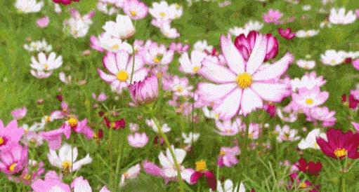 清远宝晶宫值得玩吗,来打卡清远