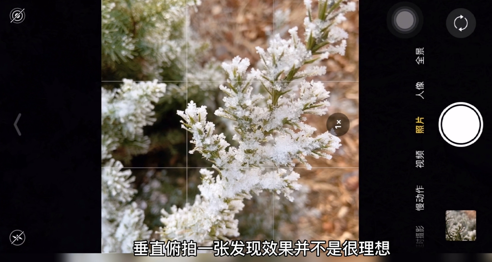 苹果手机拍照需要注意什么,一学就会的iphone手机摄影技巧