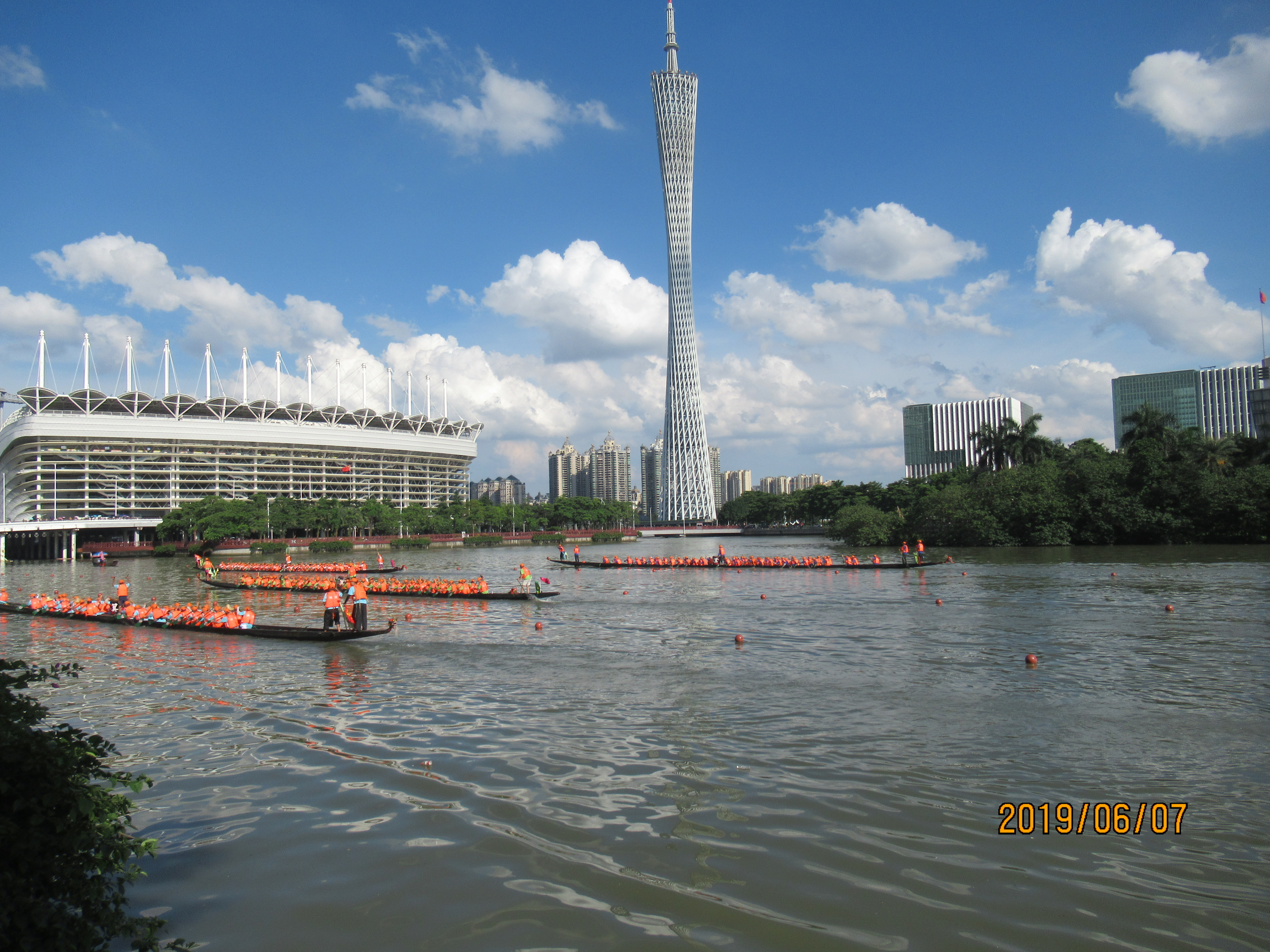 杨箕龙舟,杨箕村龙舟