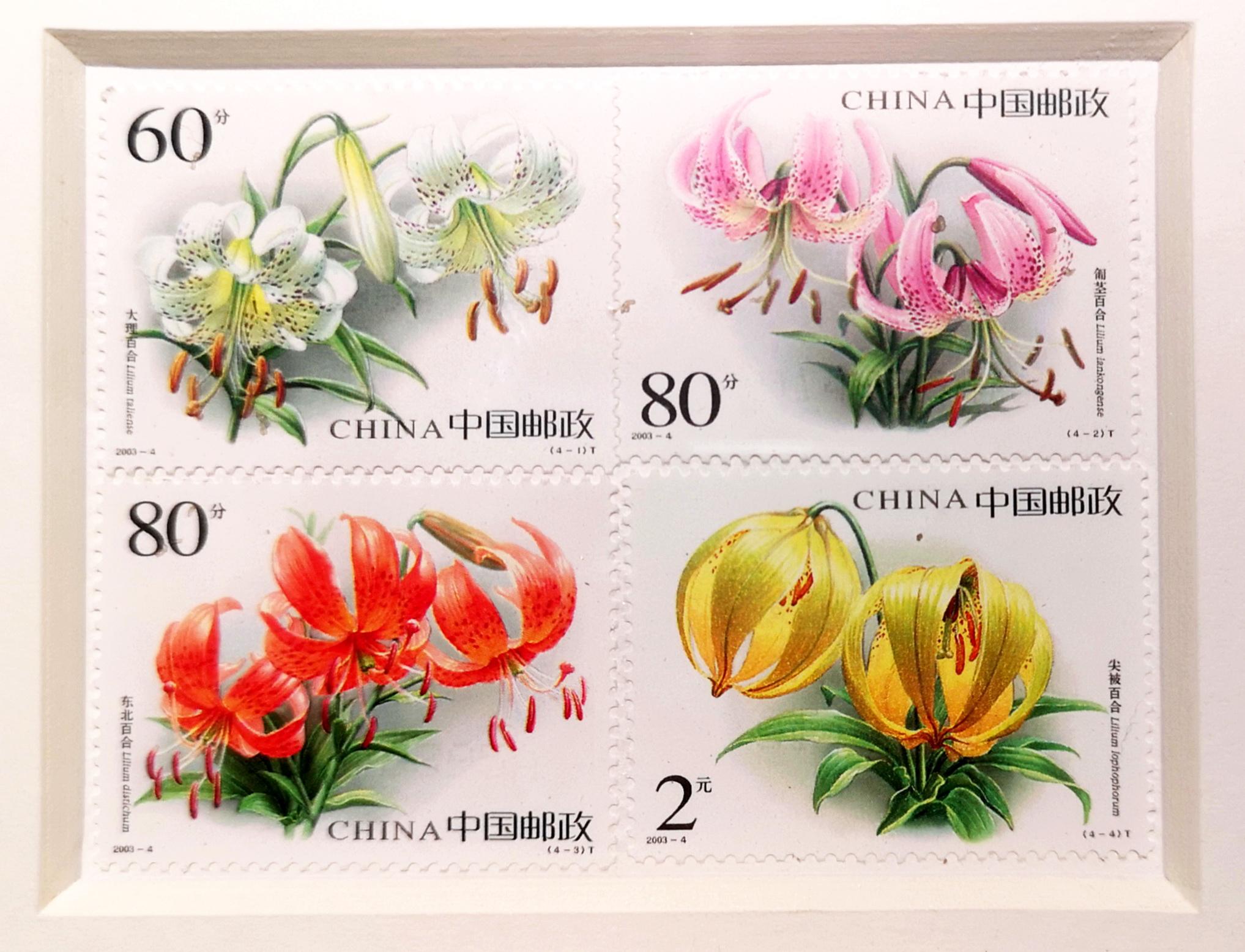 植物画家曾孝濂,画家曾孝濂作品欣赏