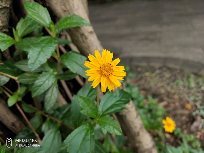 魅族16s详细测评,魅族16s评测小米9