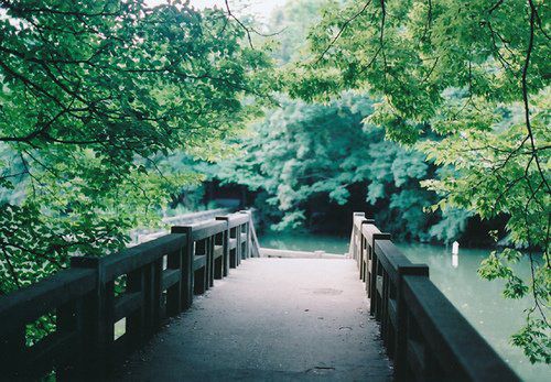 走到尽头和没有尽头是什么意思,有些路走到尽头无路可走