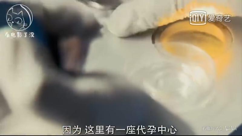 揭露代孕电影解说,bbc生育的真相纪录片在线观看