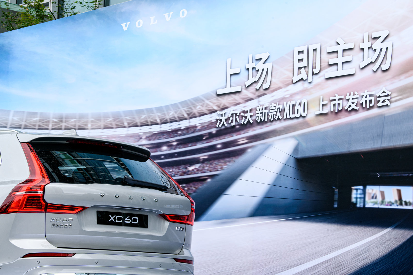 欧洲杯冠军什么时候能打票,欧洲杯开始了没